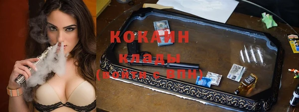 дживик Надым