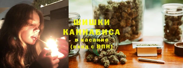прущие грибы Армянск