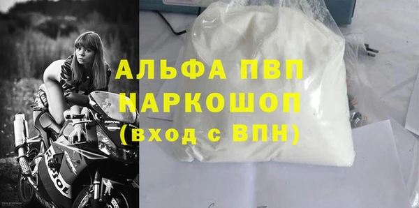 прущие грибы Армянск