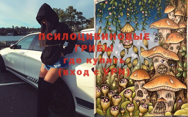 мяу мяу мука Аркадак