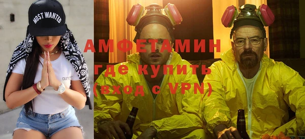 прущие грибы Армянск