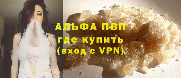 прущие грибы Армянск