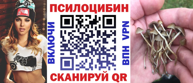 Галлюциногенные грибы Psilocybine cubensis  цена наркотик  Починок 